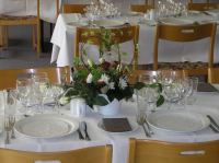 PA280007.JPG - 2006:10:28 11:12:04