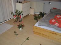 PA290027.JPG - 2006:10:29 05:15:12