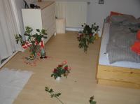 PA290029.JPG - 2006:10:29 05:15:21