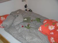 PA290030.JPG - 2006:10:29 05:15:27