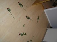 PA290033.JPG - 2006:10:29 05:15:48