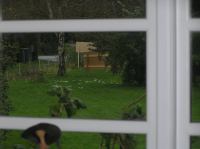 PA290043.JPG - 2006:10:29 10:35:36