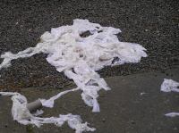 PA290044.JPG - 2006:10:29 10:35:55