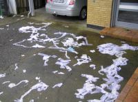 PA290046.JPG - 2006:10:29 10:36:12