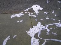 PA290047.JPG - 2006:10:29 10:36:14