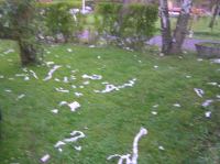 PA290051.JPG - 2006:10:29 10:36:43