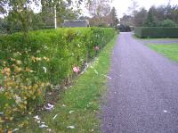 PA290053.JPG - 2006:10:29 10:36:54