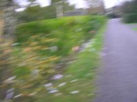 PA290054.JPG - 2006:10:29 10:36:55