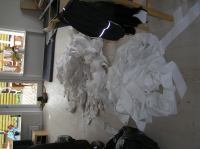 PA290056.JPG - 2006:10:29 11:04:02