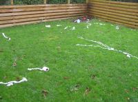 PA290060.JPG - 2006:10:29 11:46:29