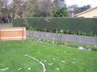 PA290073.JPG - 2006:10:29 11:47:57