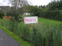 PA290074.JPG - 2006:10:29 11:48:22