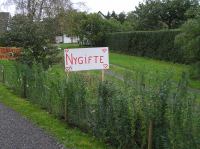 PA290075.JPG - 2006:10:29 11:48:23