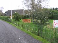 PA290076.JPG - 2006:10:29 11:48:25