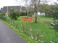 PA290080.JPG - 2006:10:29 11:48:53