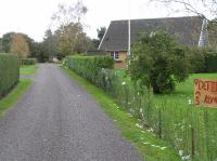 PA290082.JPG - 2006:10:29 11:49:06