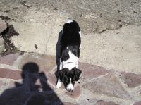 P4100065.JPG - 2004:04:10 14:28:24