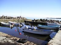 P4100069.JPG - 2004:04:10 14:29:22