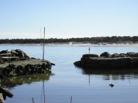 P4100071.JPG - 2004:04:10 14:29:38