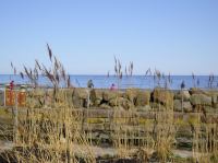 P4100075.JPG - 2004:04:10 14:30:18