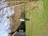 P4100077.JPG - 2004:04:10 14:30:33