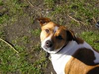 P4100081.JPG - 2004:04:10 14:34:18