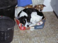 P4270127.JPG - 2004:04:27 06:52:46