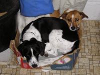 P4270128.JPG - 2004:04:27 06:52:59