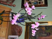 P4270130.JPG - 2004:04:27 06:53:56