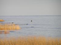 P1150092.JPG - 2005:01:15 14:47:51