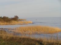 P1150095.JPG - 2005:01:15 14:48:13