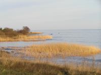 P1150096.JPG - 2005:01:15 14:48:25