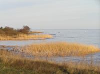 P1150097.JPG - 2005:01:15 14:48:46