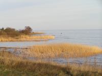 P1150099.JPG - 2005:01:15 14:48:48