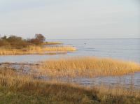 P1150100.JPG - 2005:01:15 14:48:48