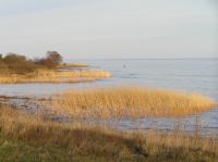 P1150101.JPG - 2005:01:15 14:48:49