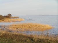 P1150102.JPG - 2005:01:15 14:48:49