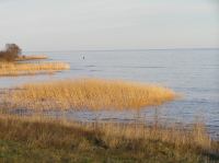 P1150103.JPG - 2005:01:15 14:48:50