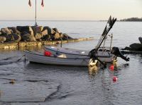 P1150117.JPG - 2005:01:15 14:54:06