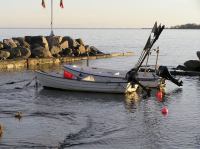 P1150118.JPG - 2005:01:15 14:54:07