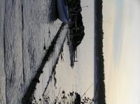 P1150119.JPG - 2005:01:15 14:54:19