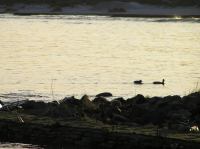 P1150121.JPG - 2005:01:15 14:54:52