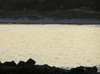 P1150123.JPG - 2005:01:15 14:54:53