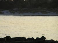 P1150124.JPG - 2005:01:15 14:54:54