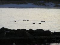 P1150126.JPG - 2005:01:15 14:55:19