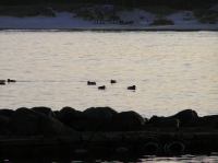 P1150127.JPG - 2005:01:15 14:55:22