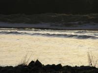 P1150128.JPG - 2005:01:15 14:55:29