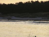 P1150129.JPG - 2005:01:15 14:55:33