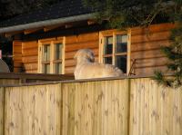 P1150130.JPG - 2005:01:15 14:59:10