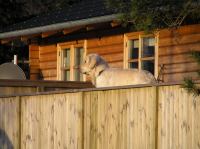 P1150131.JPG - 2005:01:15 14:59:16